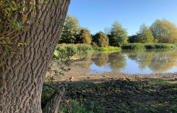 Wimpole Lake 17 October 2026